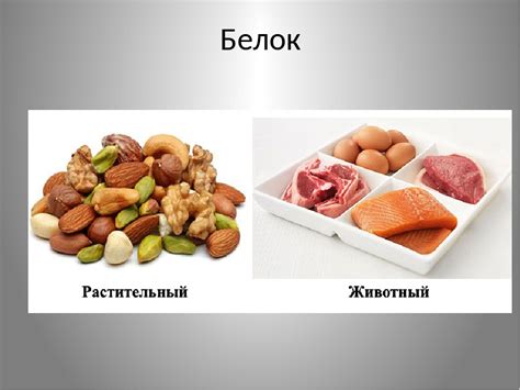Растительные источники белка: 10 лучших источников растительного белка ...