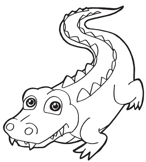 Desenhos De Crocodilo Gr Tis Para Colorir E Imprimir Colorironline