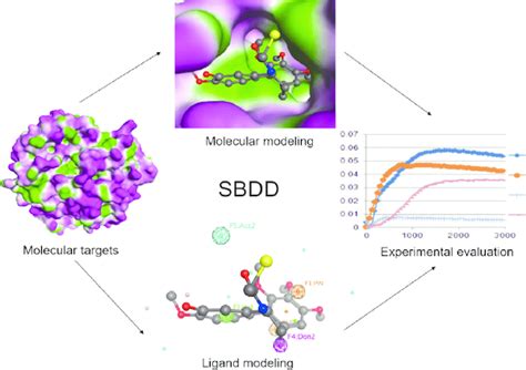 Structure Based Drug Design Is An Essential Tool For Quicker And More