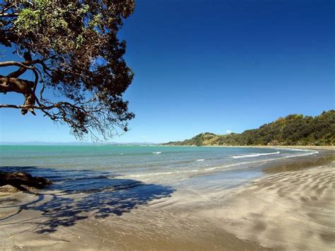 A Guide to Whakatane's Beaches