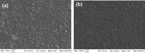 Sem Images In A The Tmaz And B Nz Download Scientific Diagram