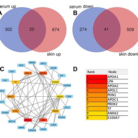 Cross Analysis Of Serum And Skin Proteomics Avenn Diagram Analysis Of Download Scientific