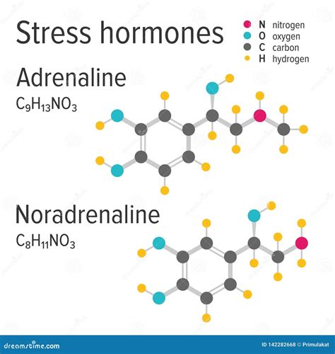 Formules Chimiques De Vecteur De Harmones D effort D adrénaline Et De