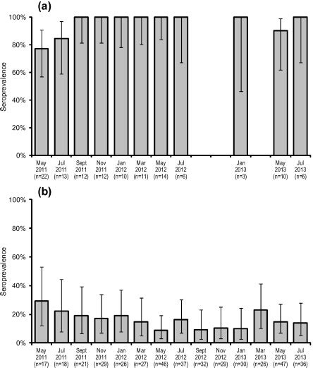 Seroprevalence Of T Gondii Igg Antibodies In Adult Eastern Quolls At