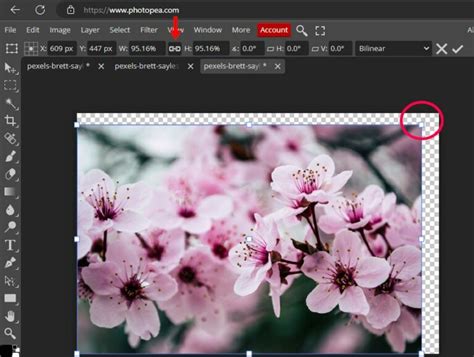 Transform An Image In Photopea How To Move Rotate Flip Scale And