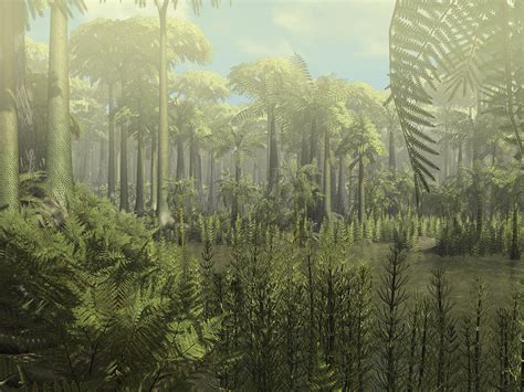 Carboniferous Forest Simulation | Prehistoric world, Prehistoric
