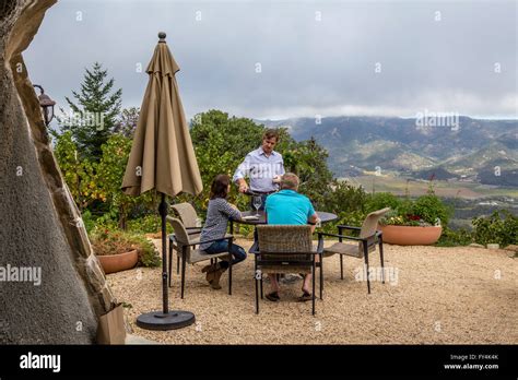 People Tourists Wine Tasting Winery Tour Barnett Vineyards Spring