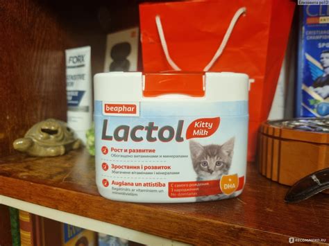 Заменитель молока для котят Beaphar Lactol Kitty Milk - «Никогда не ...