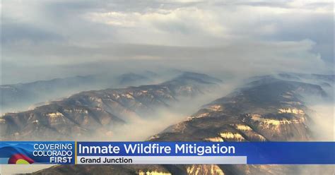 Grand Junction Is Using State Inmate Teams For Wildfire Mitigation Cbs Colorado