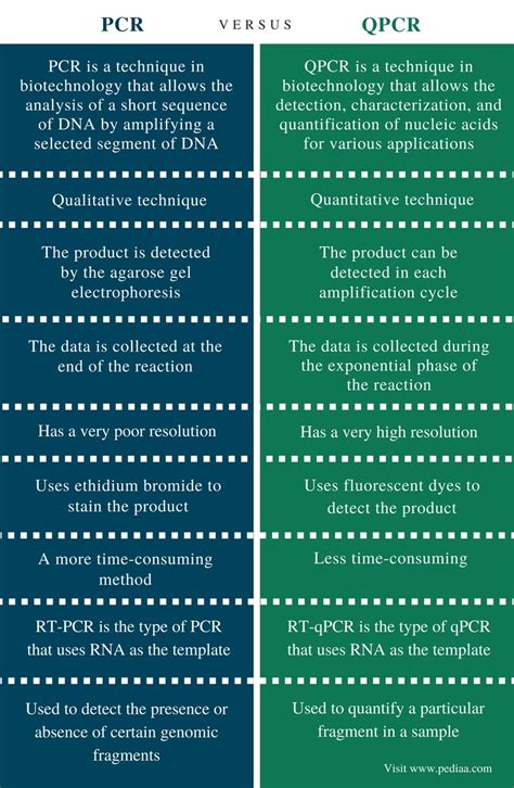 What Are The Differences Between Pcr Rt Pcr Qpcr And Rt Qpcr Enzo 7995 The Best Porn Website