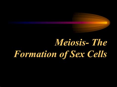 Meiosis The Formation Of Sex Cells