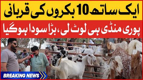 Qurbani Ke Janwar Ka Soda Ho Gaya Bakra Mandi 2023 Cattle Farm