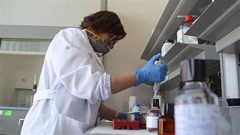 El Laboratorio De Sanidad Vegetal Analiza 120 Muestras Para Descartar