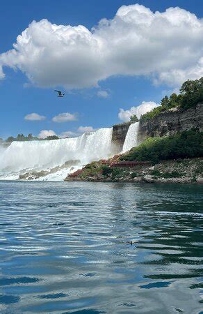 GRAY LINE OF NIAGARA FALLS BUFFALO All You Need To Know BEFORE You Go