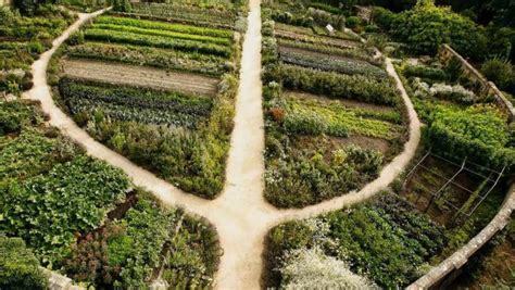 Permaculture Farming: The Future of Sustainable Agriculture - Career Barta