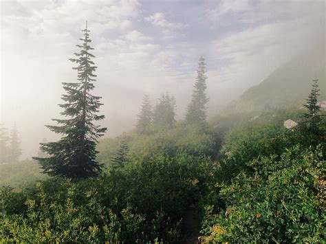 Foggy Meadow Trail By Stocksy Contributor Kevin Russ Stocksy