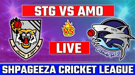 Live Shpageeza Cricket League St Match Speen Ghar Tigers Vs Amo