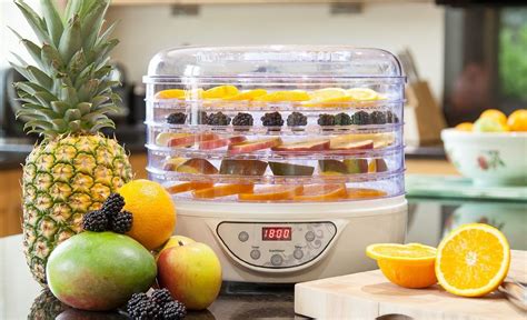 Top 10 Best Food Dehydrators Of 2018 Reviews Best Food Dehydrators