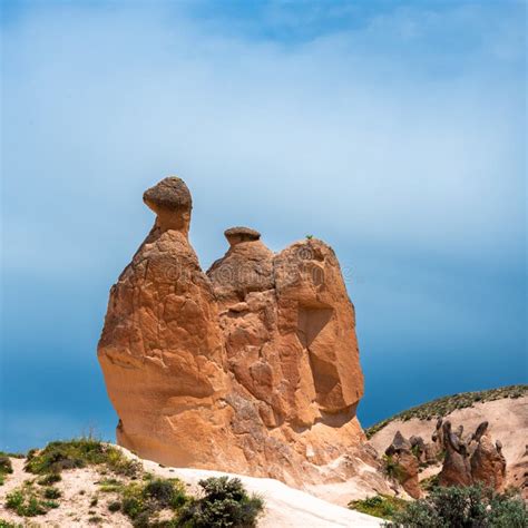 Camel In Devrent Valley Or Imagination Valley In Cappadocia Stock