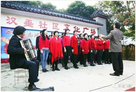 臥龍崗街道：載歌載舞慶祝十九大勝利召開 每日頭條