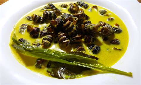 DAPUR KOTA SINGA SIPUT MASAK LEMAK CILI PADI