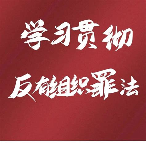 【反有组织犯罪法】学习宣传贯彻《反有组织犯罪法》 全区法院这样做！审判包头市法院氛围