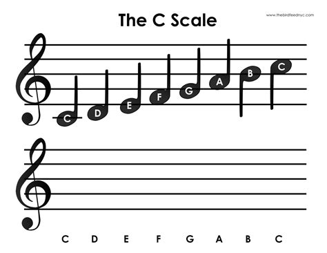 Music Scale Notes Music Theory Ledger Lines Treble Clef And Bass Cleaf