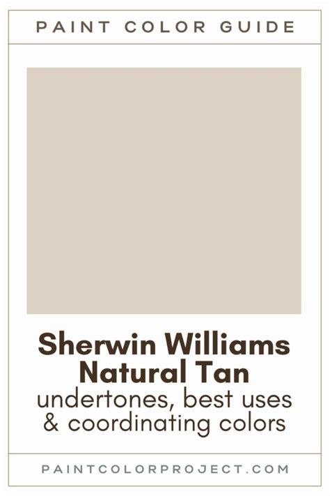 Sherwin Williams Natural Tan A Complete Color Review The Paint Color