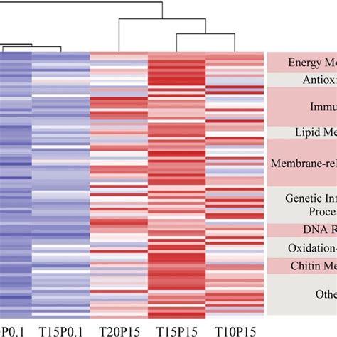 Expression Patterns Of 94 Well Annotated Differential Expression Genes