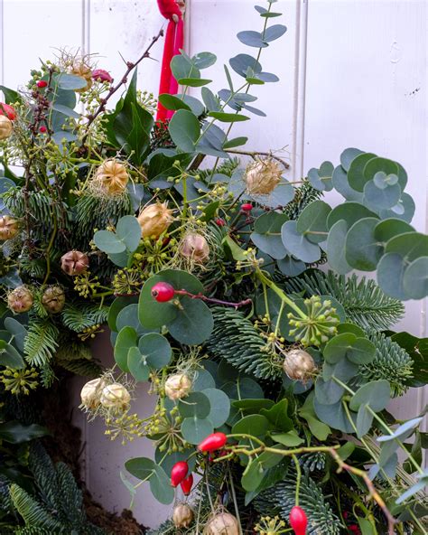 My Favourite Christmas Wreath Foliage - Fierceblooms Sustainable Flowers