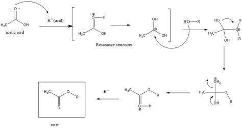 Esterification Mechanism