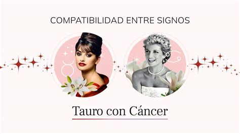 Tauro y Cáncer compatibilidad de signos en el amor amistad y trabajo