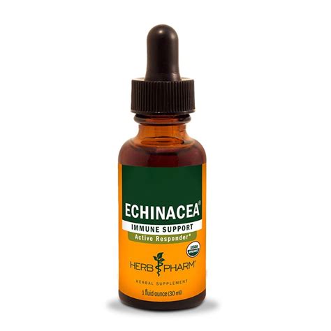 Echinacea Vitaminas Y Suplementos Americanos Colombia