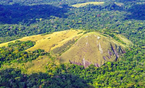 Discover All The Gabon National Parks Discover Afrika