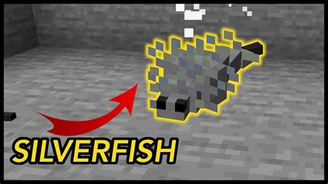 80 Best of Do Silverfish Randomly Spawn - insectza