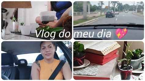 vlog fui em outra cidade na volta fui ver minha mãe filha e meus