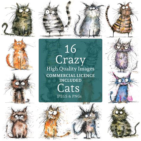 16 Crazy Cats Clipart High Quality Designs 16 Pngs Jpgs Funny Scruffy