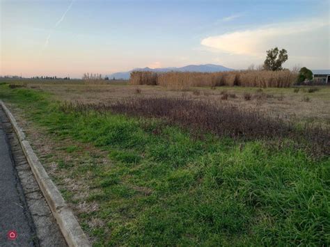 Terreni Agricoli In Vendita A Chianni In Zona Centro Casa It