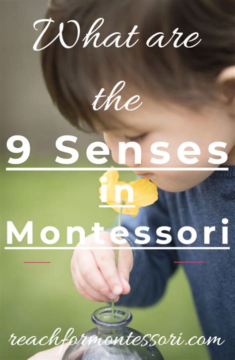 What Are The 9 Senses In Montessori — The Montessori Minded Mom