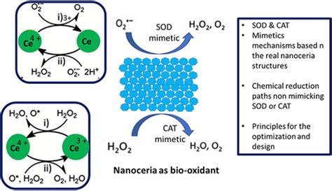 Full Article Nanoenzymes A Radiant Hope For The Early Diagnosis And