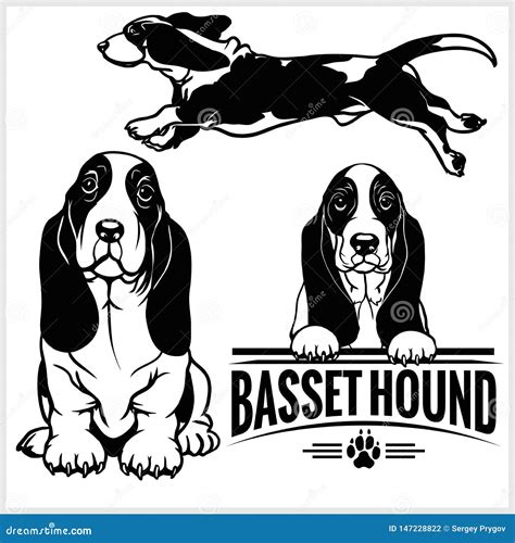 Basset Hound Clipart Black And White - img-brah