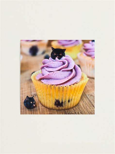 Blueberry Muffin Cat Photographic Print For Sale By Catsinfood