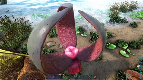 Ark Survival Evolved Day 144 On Crystal Isles What Does This Plant Do