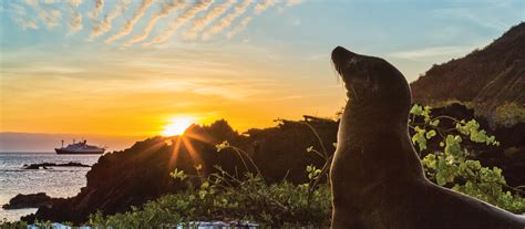 Galápagos Islands 12 Day Expedition Cruise National Geographic Expeditions