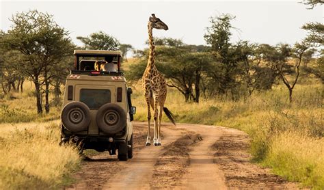 Tansania Sansibar Safaris Vom Spezialisten Ihr Tansania Sansibar