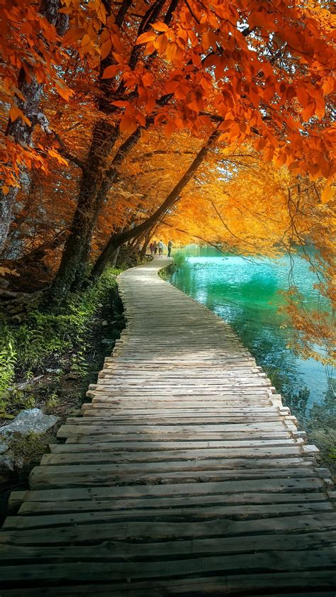 Wooden Dock Autumn Green Lake Nature Red Leaves Woiden Wood HD