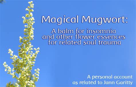 Using Mugwort For Sleep Issues