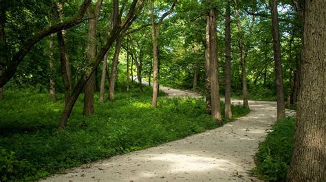 forest preserves