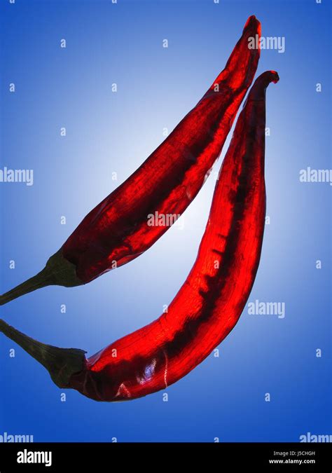 Red Hot Chilli Stock Photo Alamy