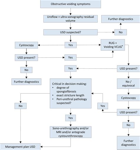 Urethral Strictures DIAGNOSTIC EVALUATION Uroweb